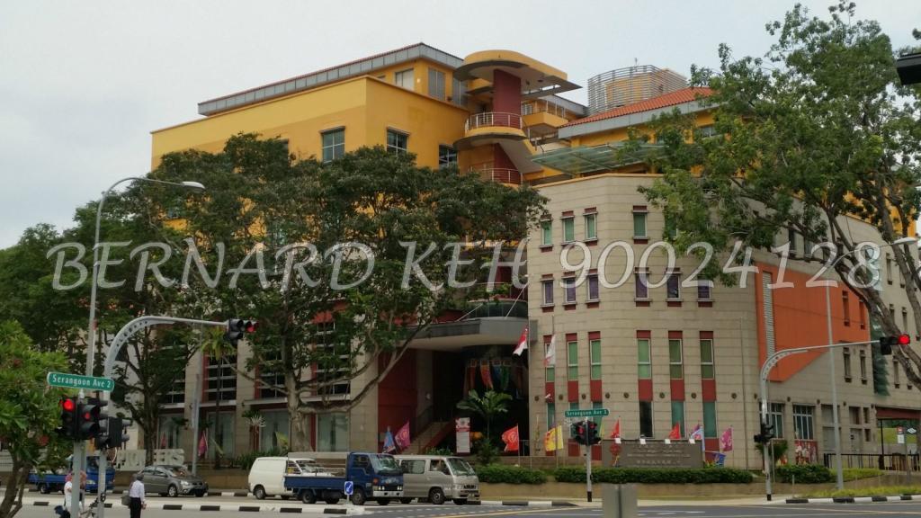 Blk 322 Serangoon Avenue 3 (Serangoon), HDB Executive #101113232